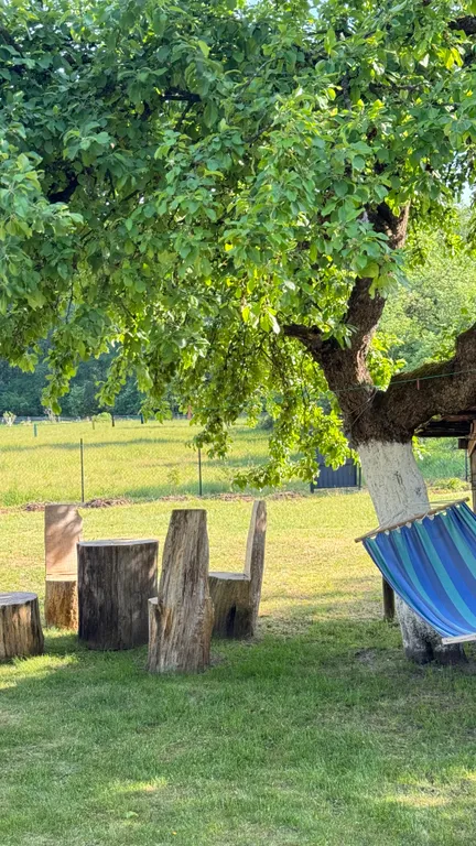 Агроусадьба Лесная Тишина в Беловежской пуще