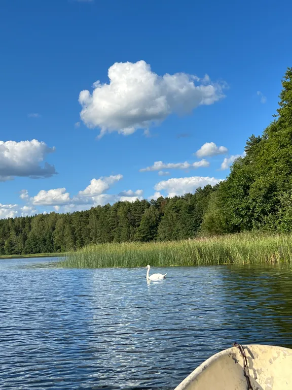 Коттедж Коттедж с сауной рядом с озером — Луга