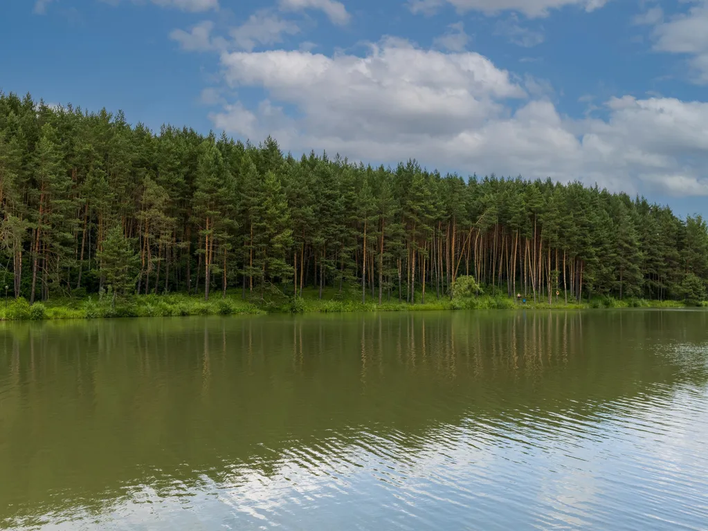 Дом с сауной  в Капитан Клаб