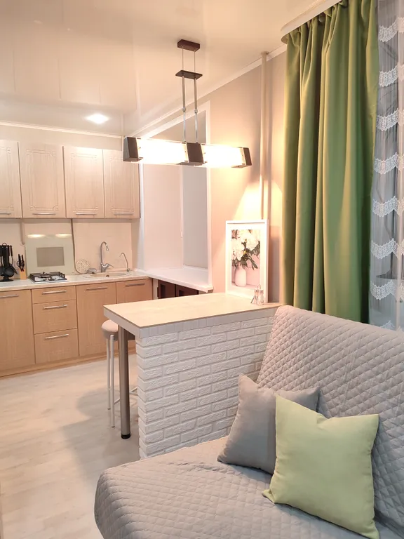 Уютная студия в центре города