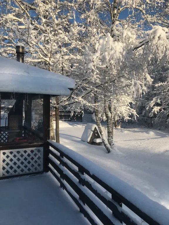 Коттедж Домик у лесного озера — Приозерск