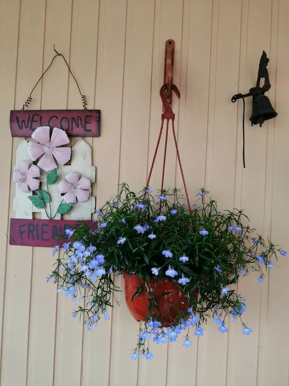 Коттедж Сканди дом — аренда посуточно в Сортавала