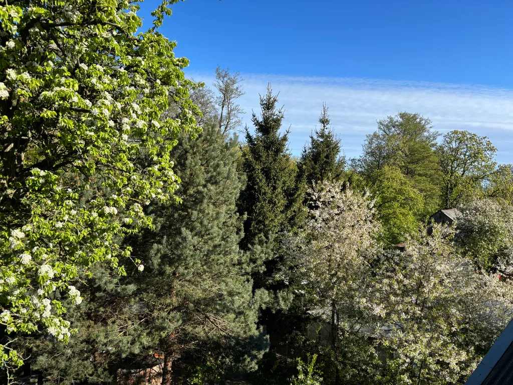 Квартира Комната — Пионерский