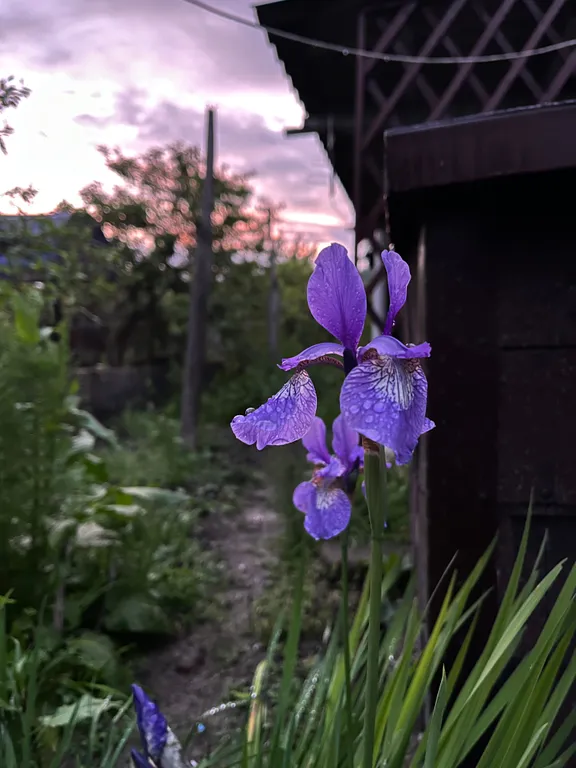 1-комнатный Дом