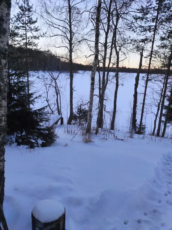 Уютный домик