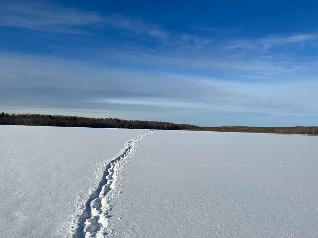 Коттедж Коттедж с сауной рядом с озером — Луга
