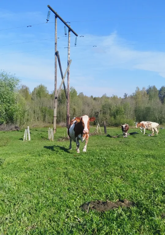 Агроусадьба Ивановых, старый хутор Тауно Туоми