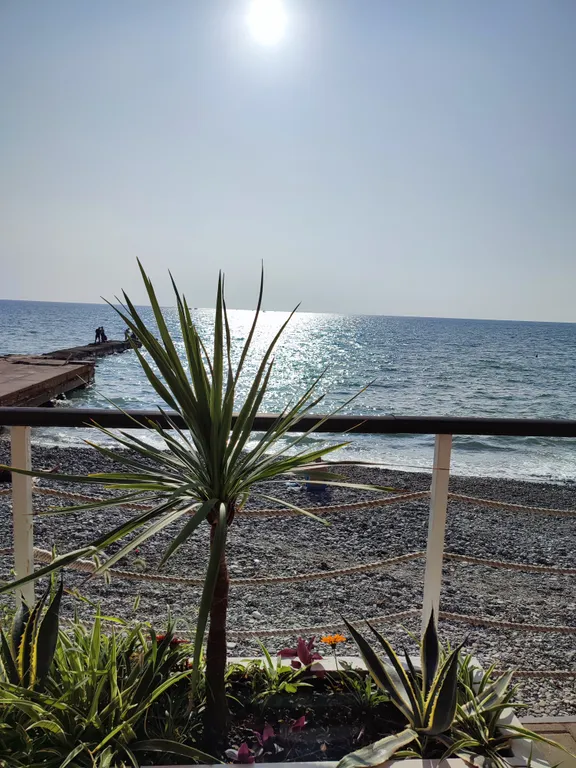 Новая студия с видом на море в Хосте