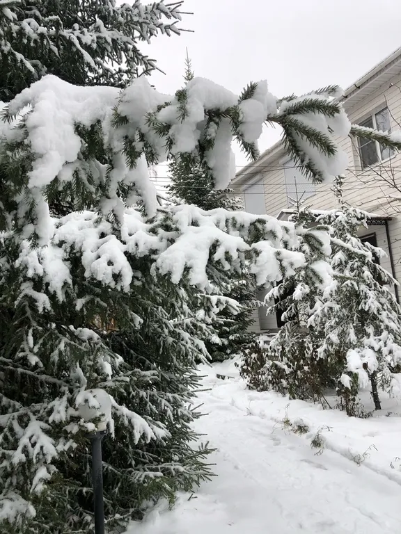 Семейное бунгало на Банном Гостевой