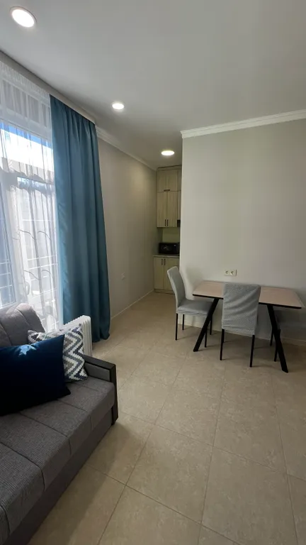 Квартира 1-комнатная Квартира — Сириус