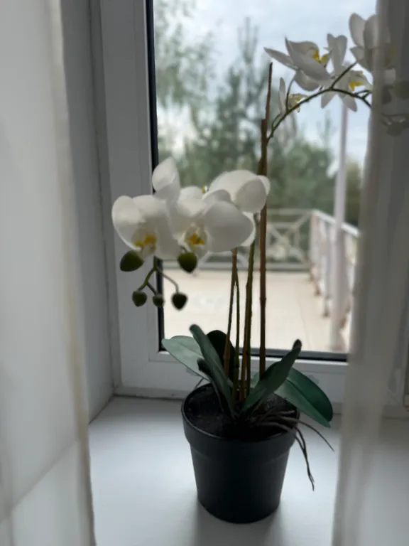 Квартира 2-комнатная Квартира — Исаково