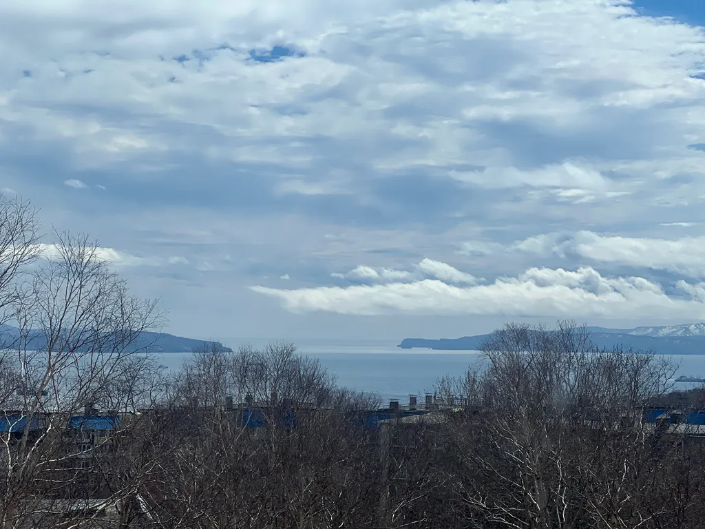 Квартира с прекрасным видом на бухту