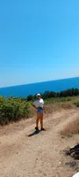 Маргарита
