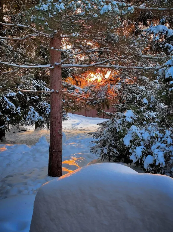 Дом с баней на выходные, праздники или на лето