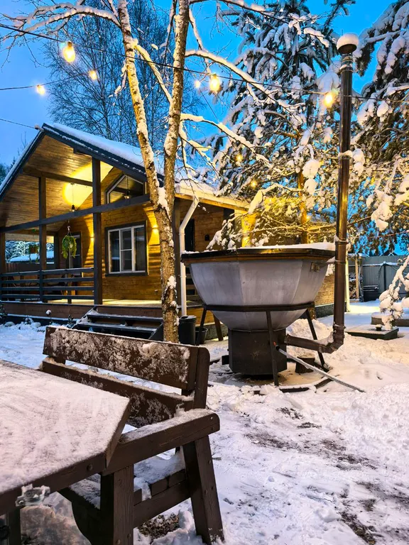 Уютный домик у леса с чаном