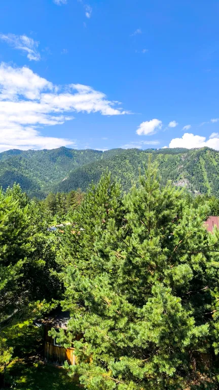 Апартаменты с видом на горы