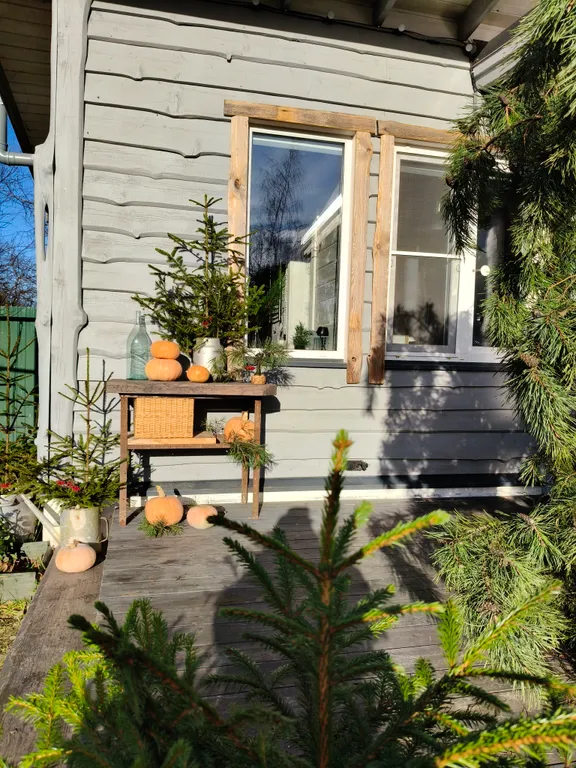 Таруса-отдых