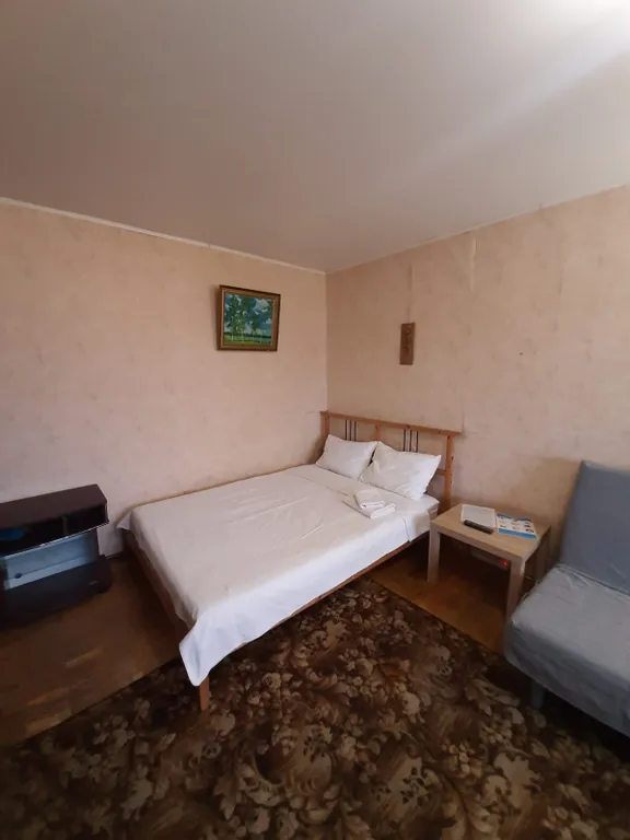 Квартира Однокомнатная эконом класса в спальном районе посёлка Чкаловский — аренда посуточно в Щёлково