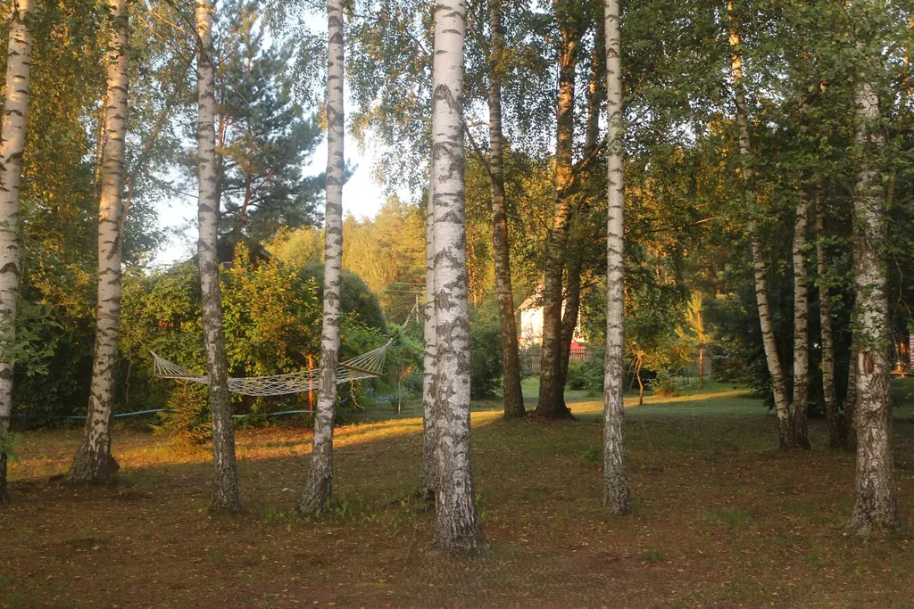 Уютный коттедж для семейного отдыха в тихом живописном месте