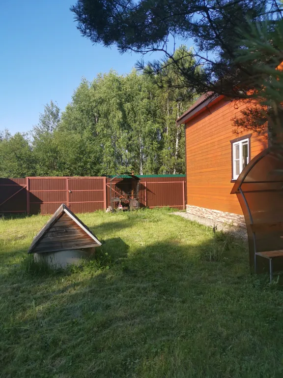 Dream Forest & River PZ