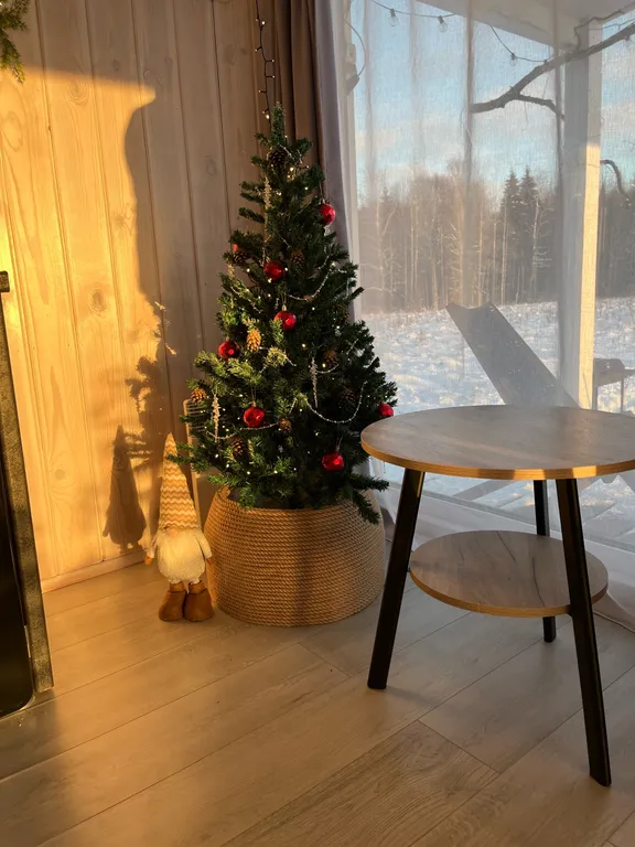 Атмосферный дом у леса