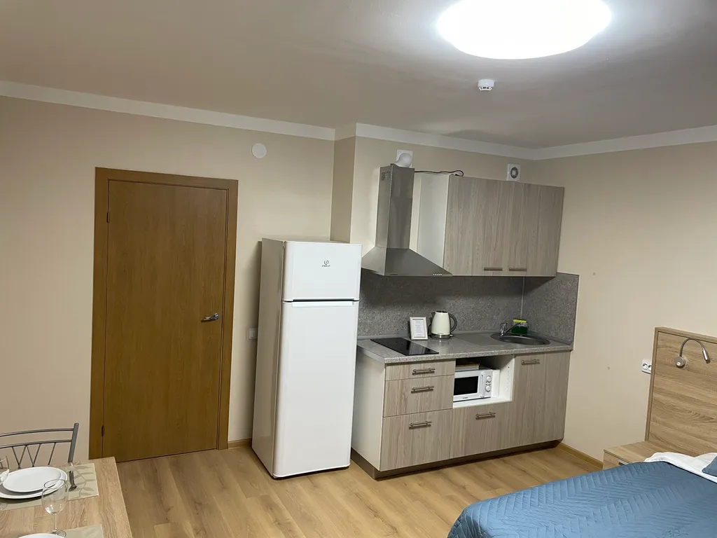 Квартира Уютная квартира рядом с НИИ им. Петрова — Песочный