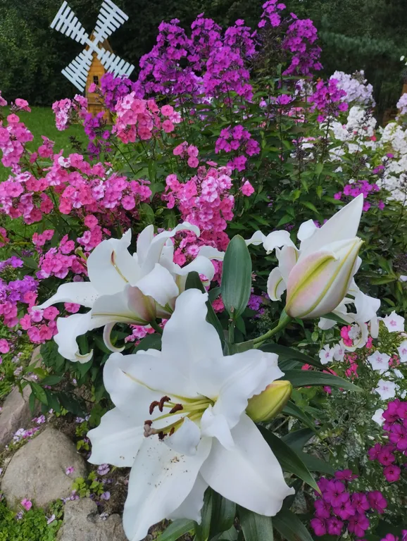 Дом под солнцем