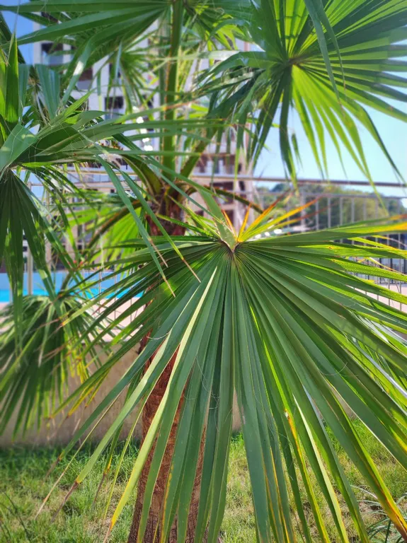 77 Alliance Apartments в ЖК Аллея Парк