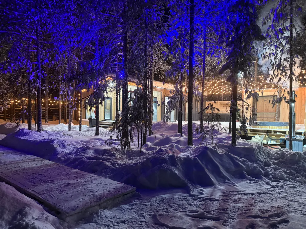 LesNoy дом с уютом