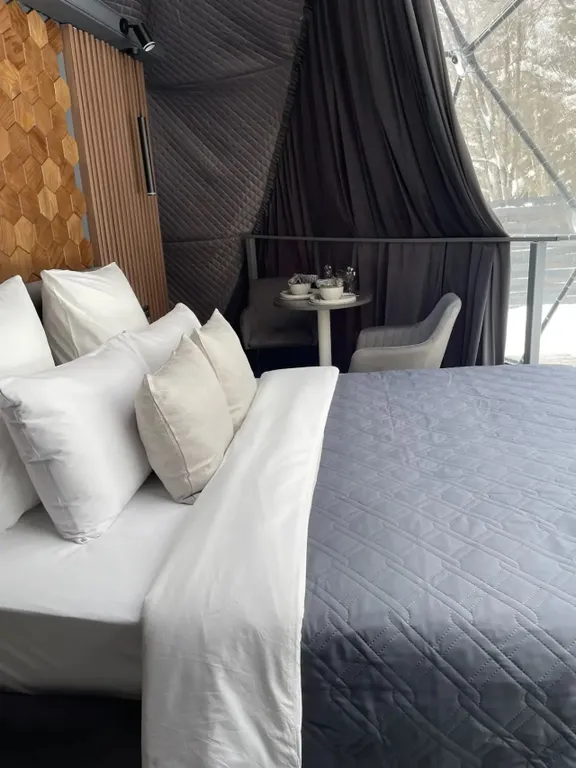 Коттедж Геокупол D-6 с панорамным видом на лес Detox-Riga — Черленково