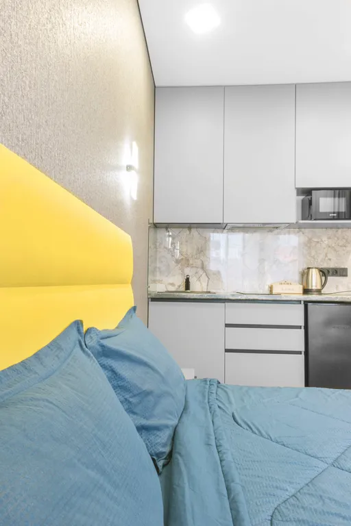 Квартира 1-комнатная Квартира — Сириус