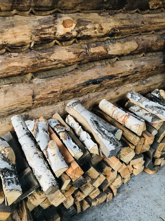 Кошкин дом в Комарово