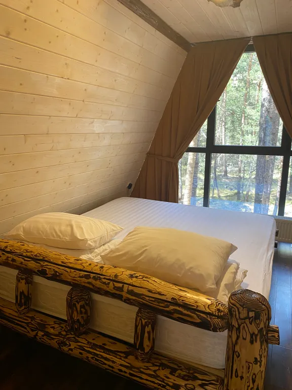 Семейный дом стандарт с видом на сосновый лес