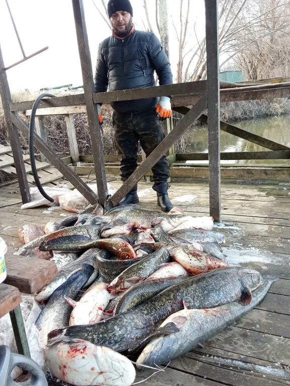 Коттедж 6-комнатный Дом — Камызяк