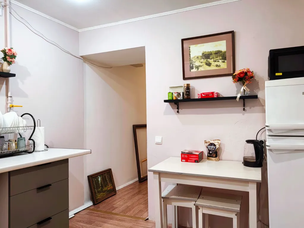 Квартира Комната "Другой Эрмитаж". Между Эрмитажем и Исаакием. Хранение багажа. — Санкт-Петербург