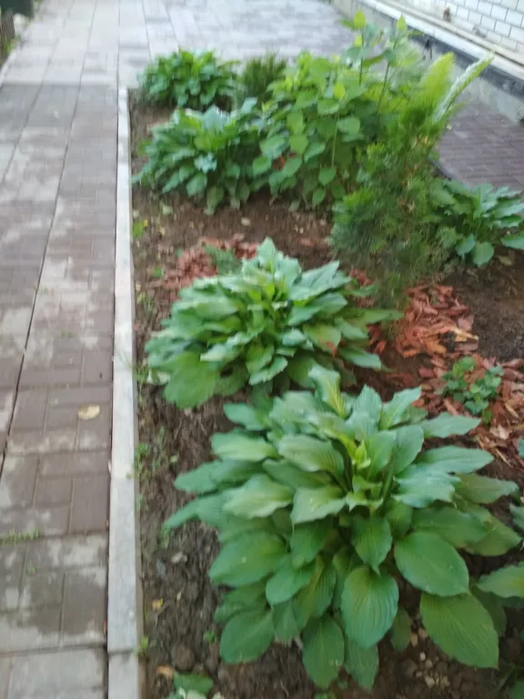 Дом с сауной Вишневый сад