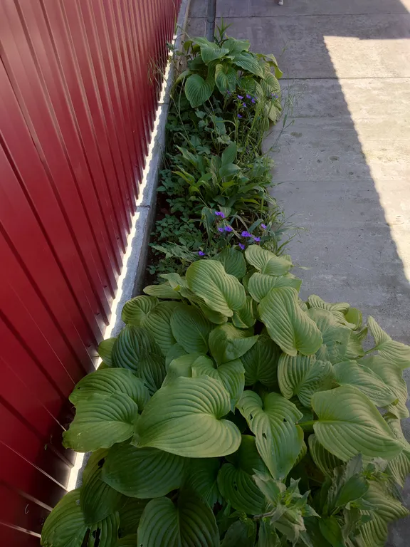 Уютный дом с хорошей энергетикой