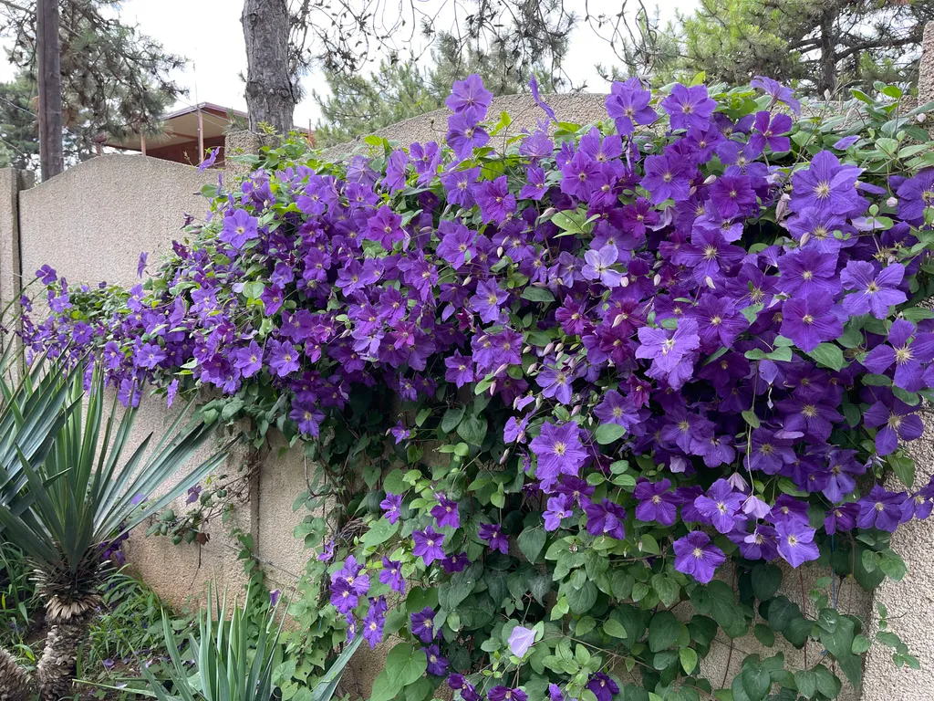 Коттедж возле моря  для семейного отдыха