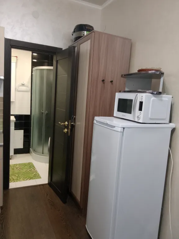 Апартамент на берегу моря Звёздный берег