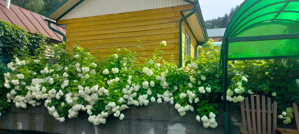 Комната с личным санузлом в частном доме