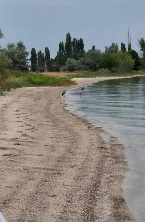 Уютный дом на берегу Азовского моря