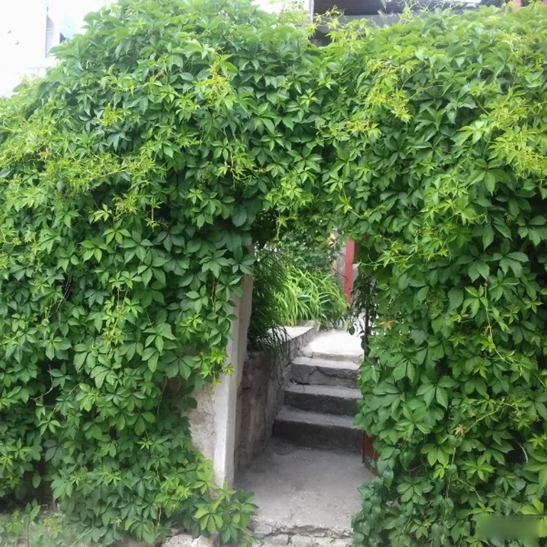 Уютная квартира в центре с хорошим видом