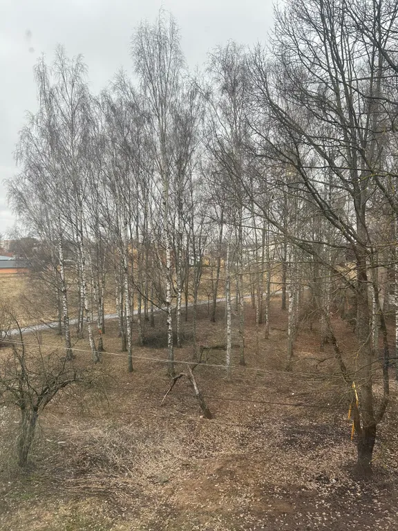 Квартира Квартира Комфортное проживание в центре города — Великий Новгород