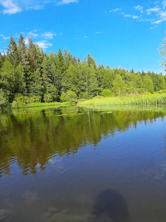 Уютный домик у реки