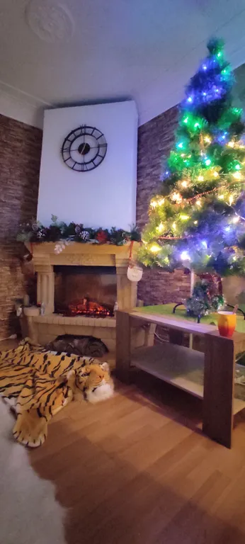 Квартира Апартаменты у Белой Башни с живописным видом, в шаге от Кремля — Великий Новгород