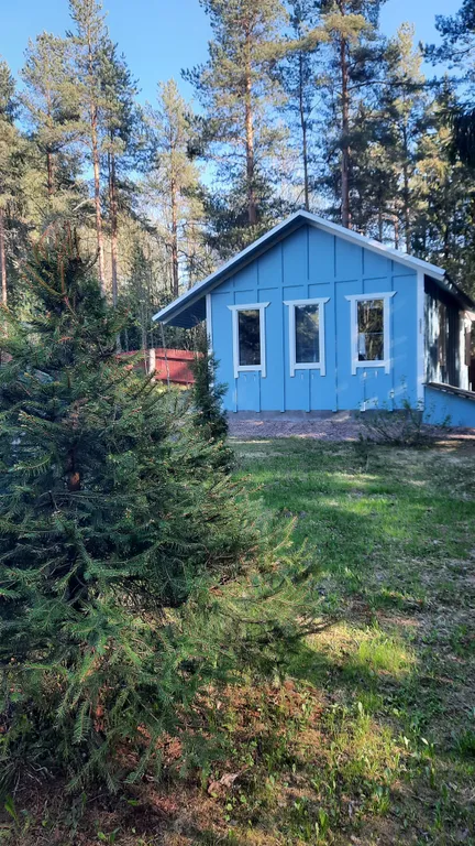 Уютный лесной домик