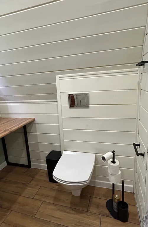 Современный треугольный эко дом