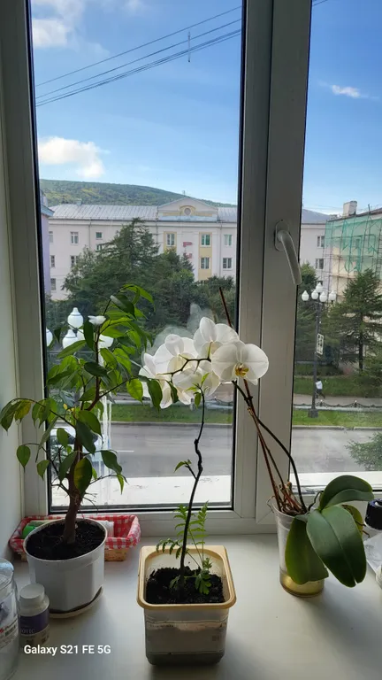 2-х комнатная квартира в районе автовокзала