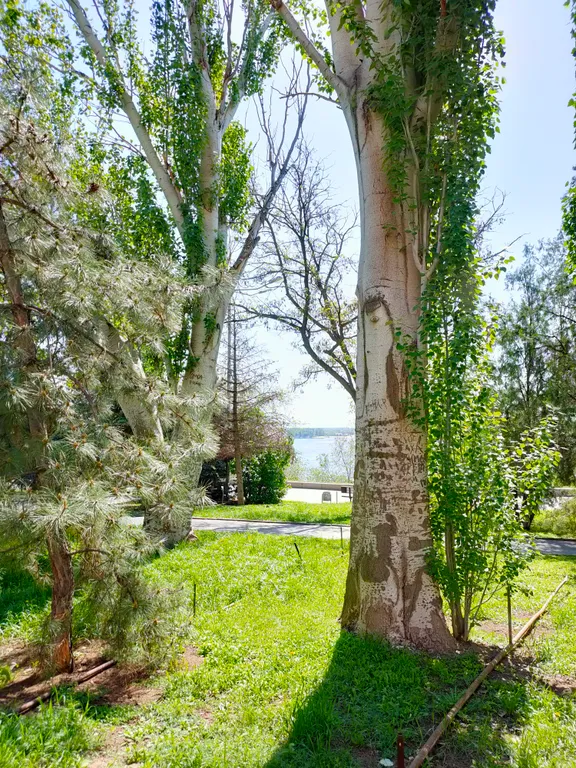 Большая 4-х комнатная уютная квартира в центре на набережной