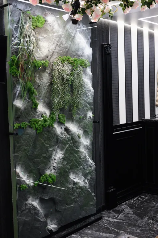 Студия люкс